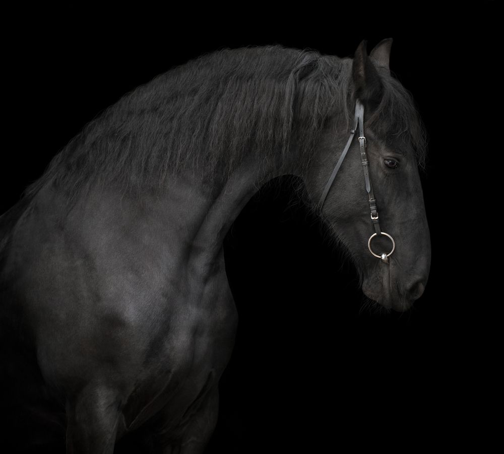 Photograph by Екатерина Михайлова