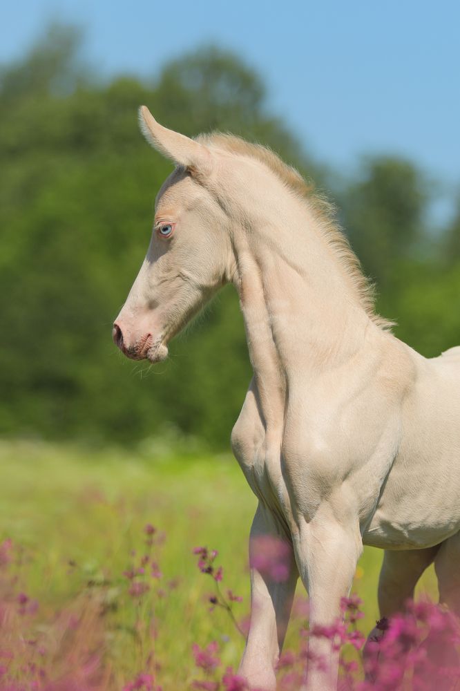 Photograph by Екатерина Михайлова