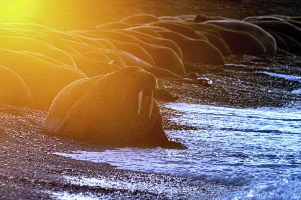Фотография автора Дмитрий Дон