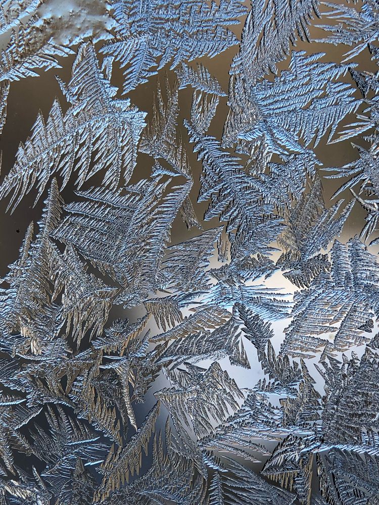 Узоры зимы