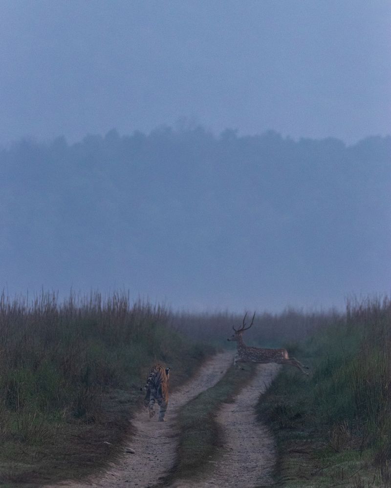 Photograph by Abhaya Shukla
