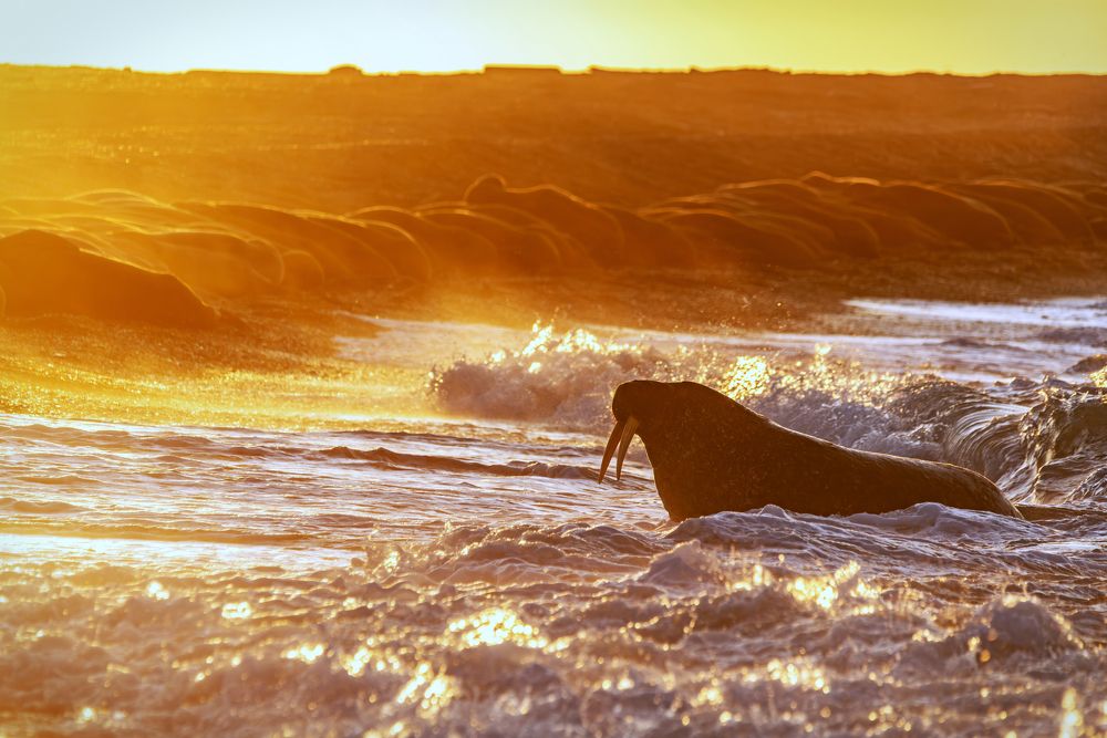 Фотография автора Дмитрий Дон