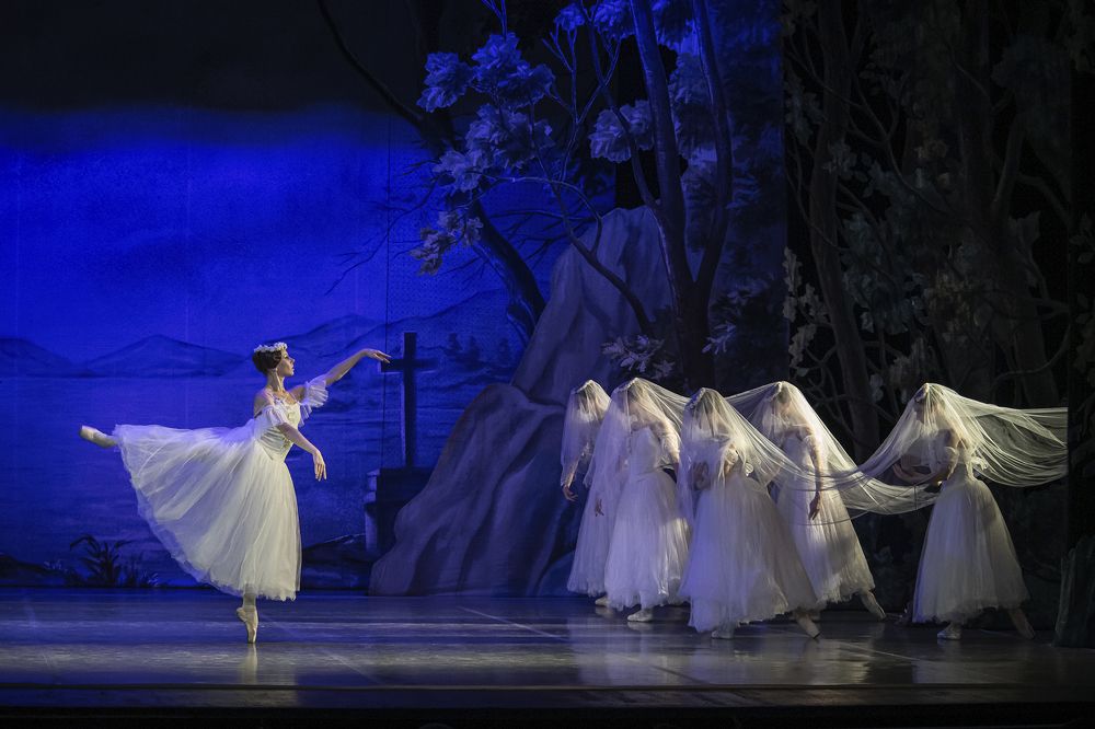 Фотография автора Сафонова Людмила