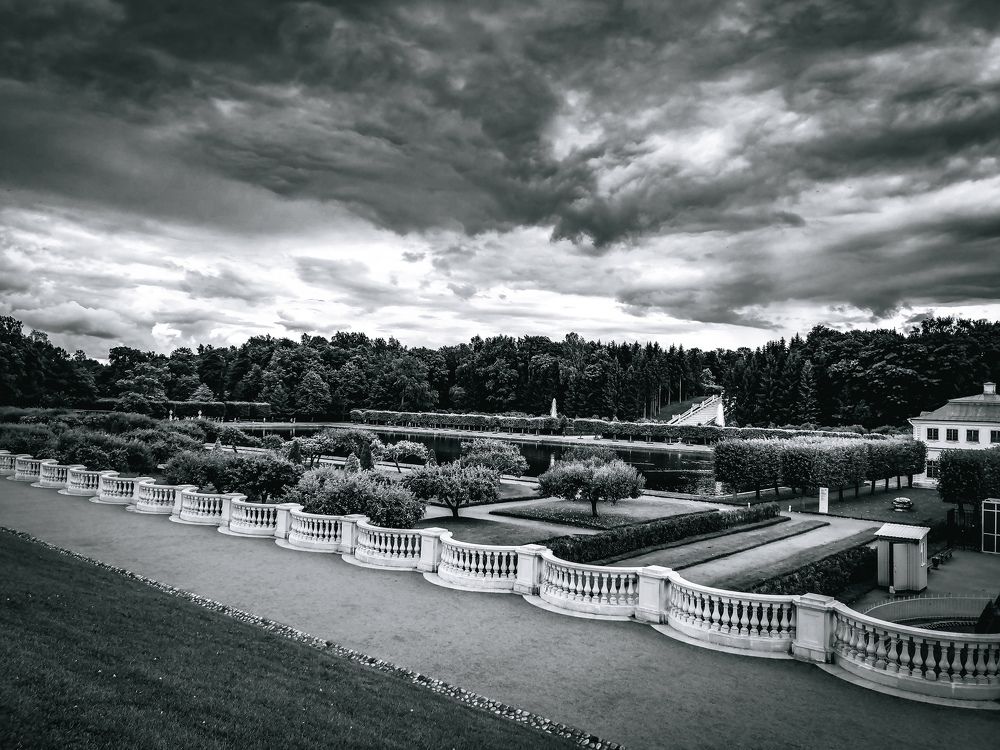 Photograph by Анастасия Черная