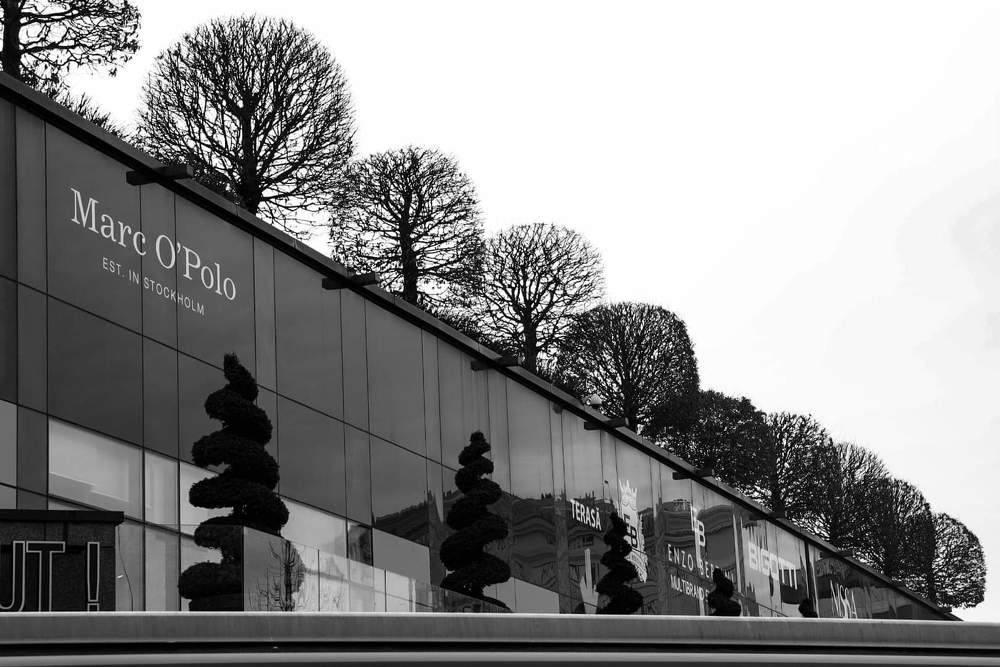 Photograph by Catalin Grădinaru