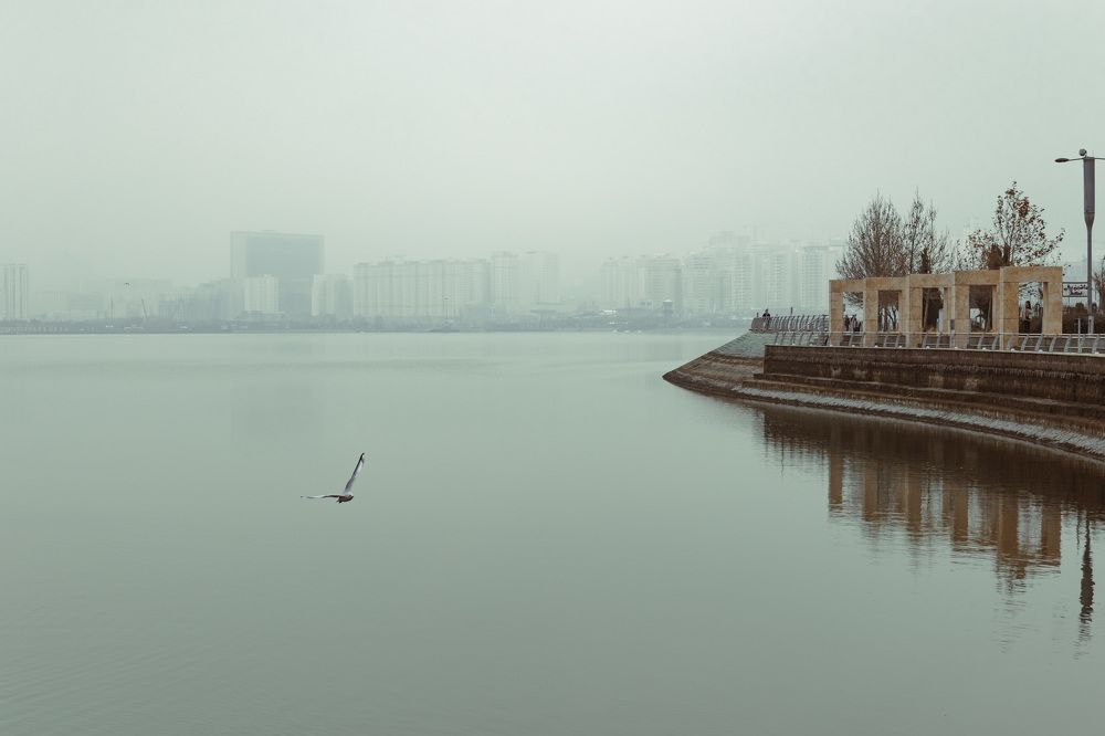 Photograph by Sahar