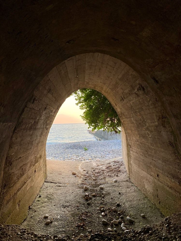 Photograph by Ника