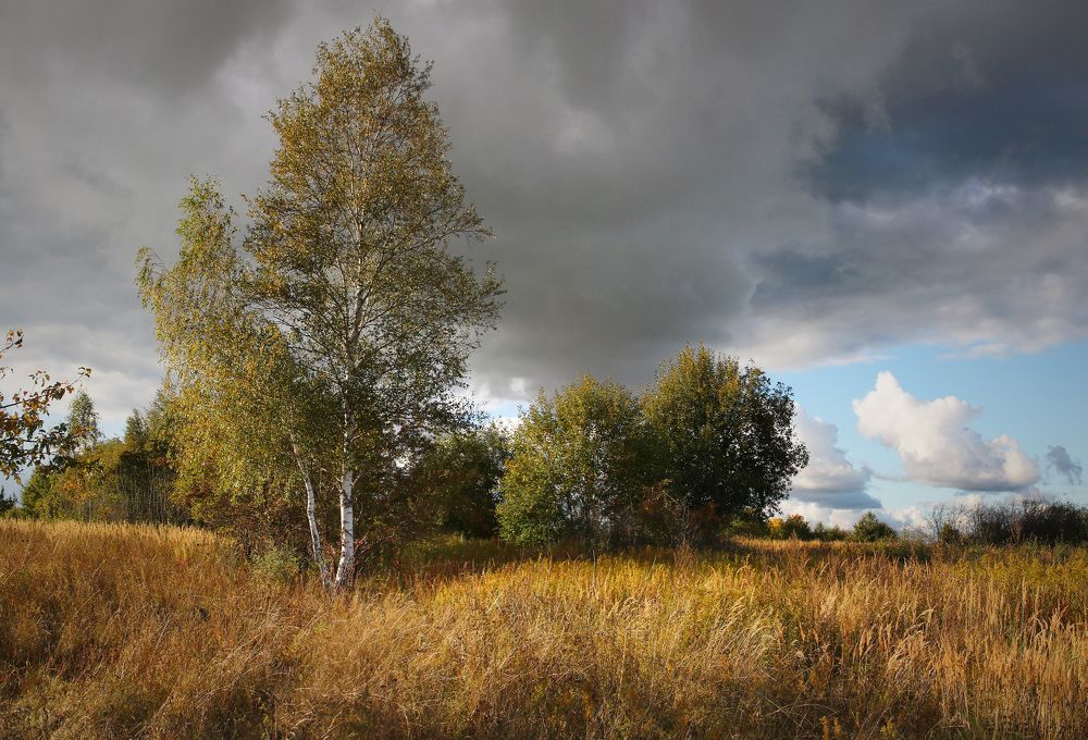 Photograph by Владимир Петрукович