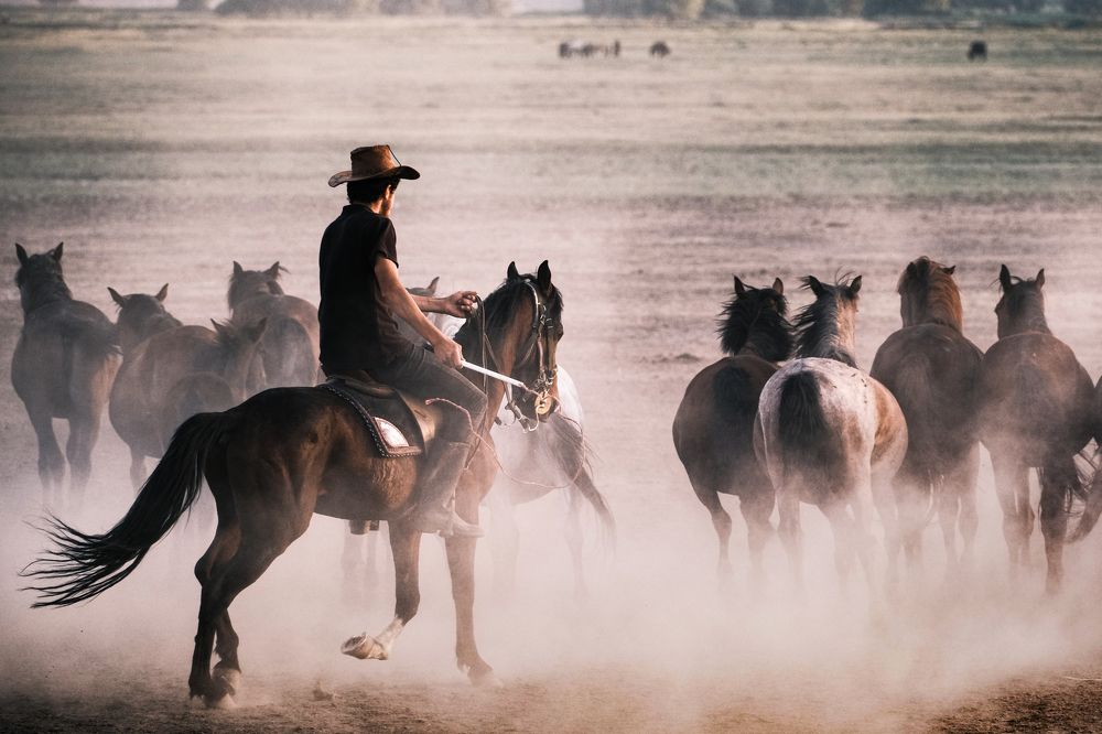 Photograph by Halil İbrahim KAHYA