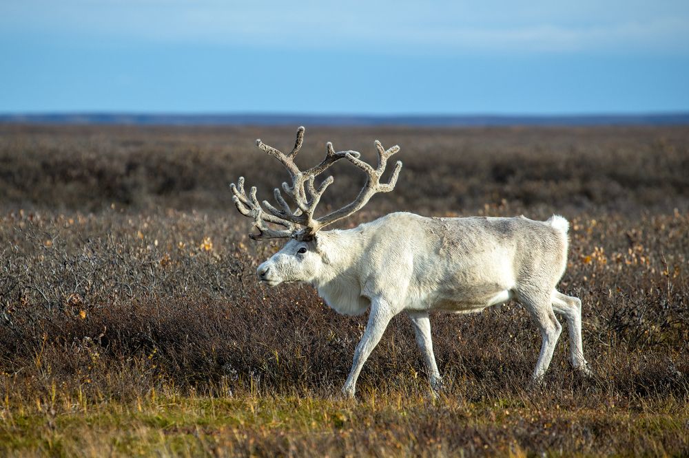 Photograph by Фёдор