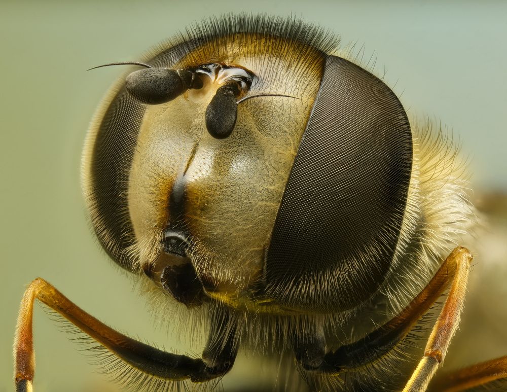 Photograph by Юрий Юрьевич