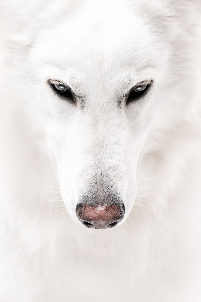 Photograph by Мария Калинина