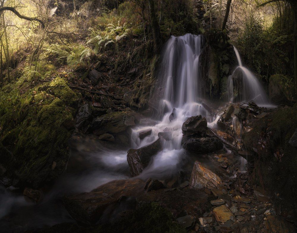 Photograph by Miguel Iglesias