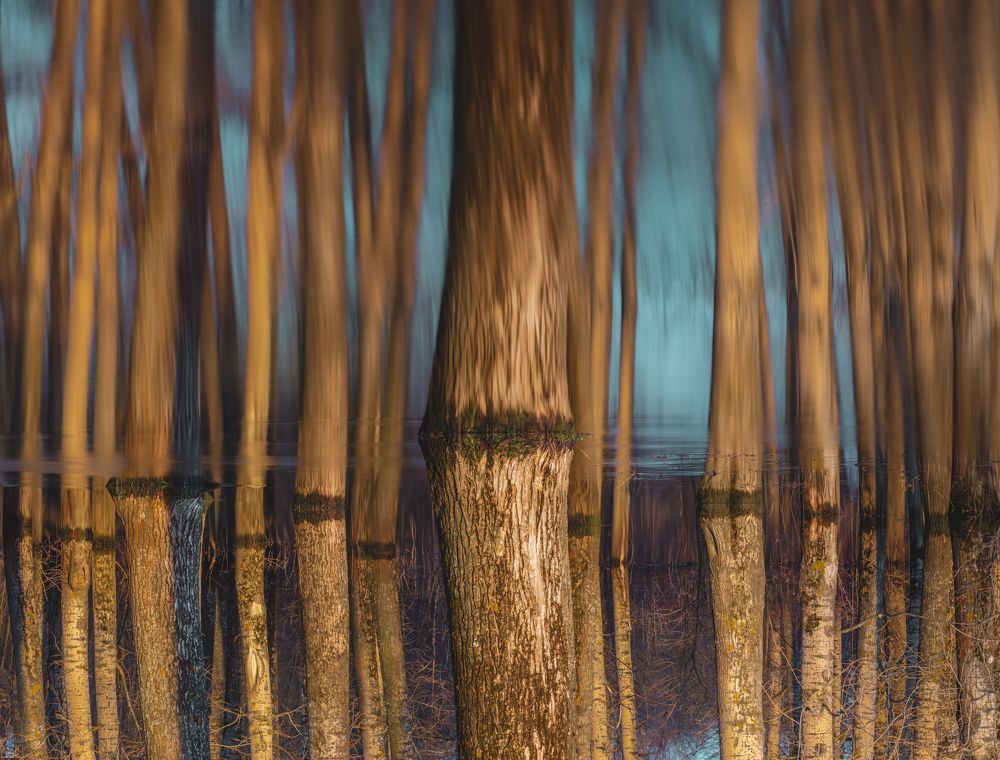 Photograph by Diana Karp