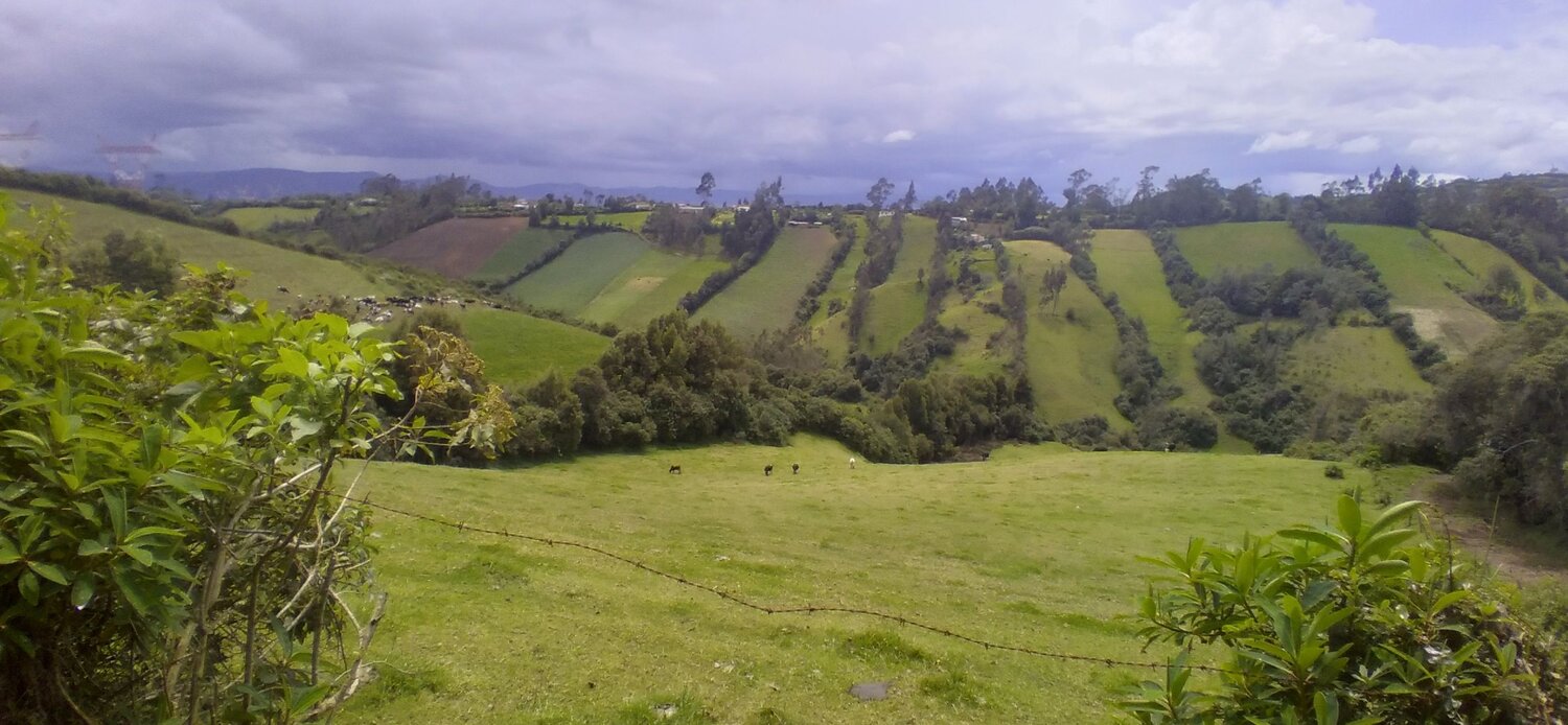 Photo #10426570