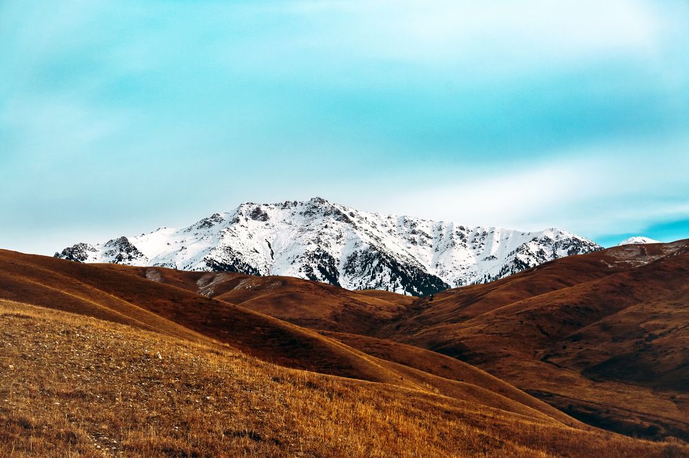 Photograph by Юлия Гончарова