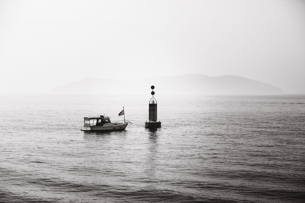 Photograph by Юлия Гончарова