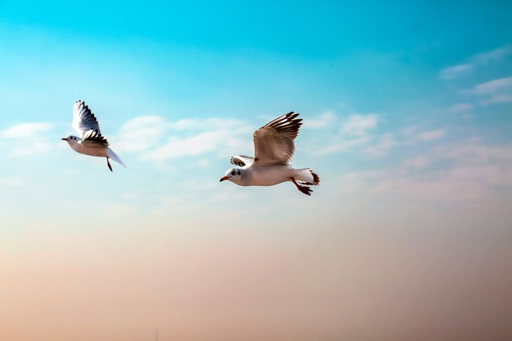 Photograph by Юлия Гончарова