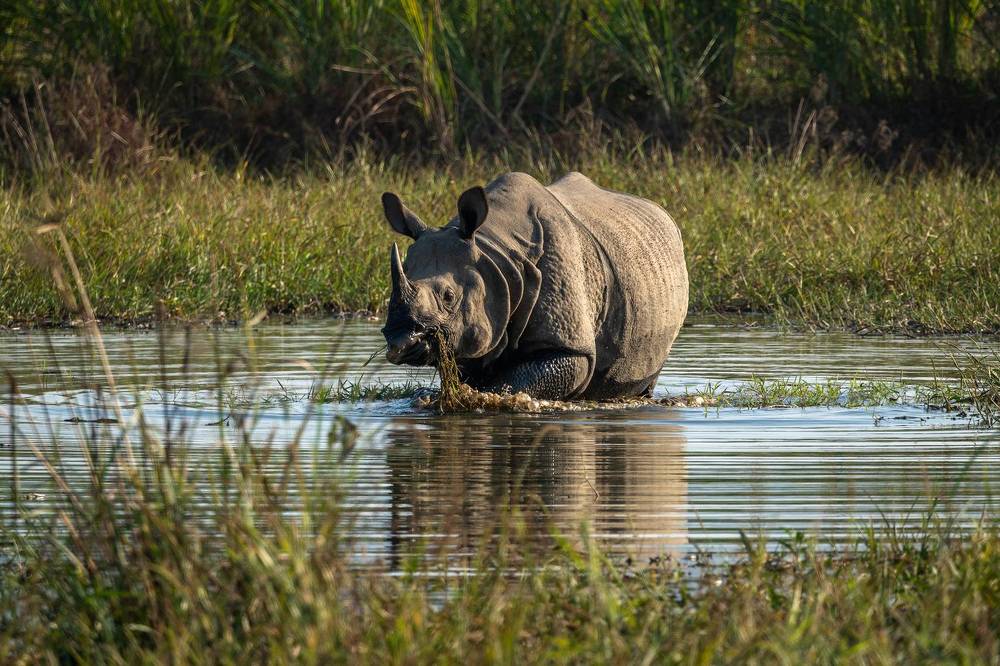 Photograph by Баландин Дмитрий