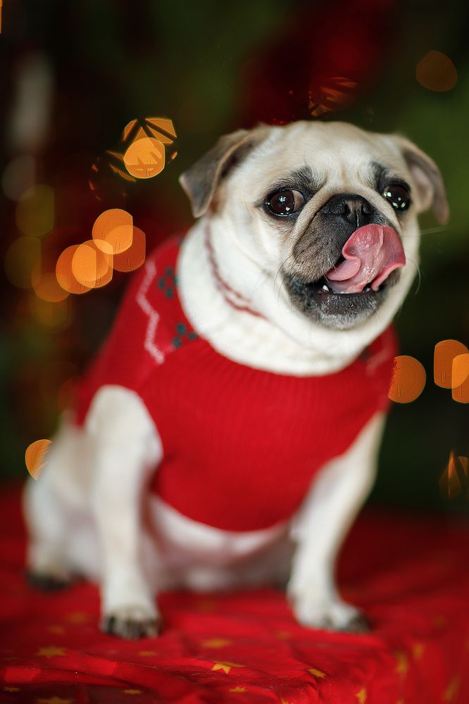 Photograph by Марина Фрейман