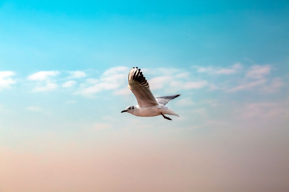 Photograph by Юлия Гончарова
