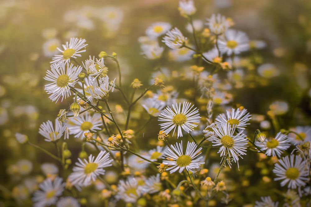 Photograph by Татьяна Бравая