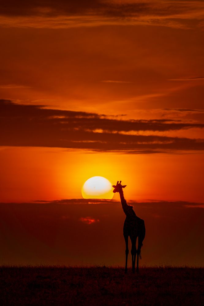 Photograph by Jayakumar MN