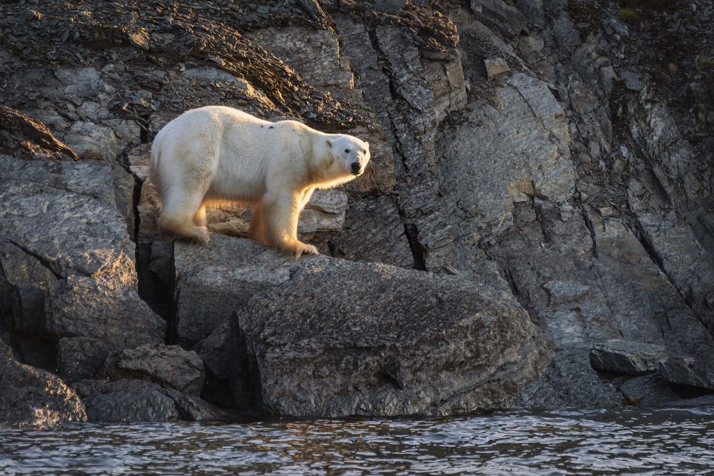 Photograph by Дмитрий Дон