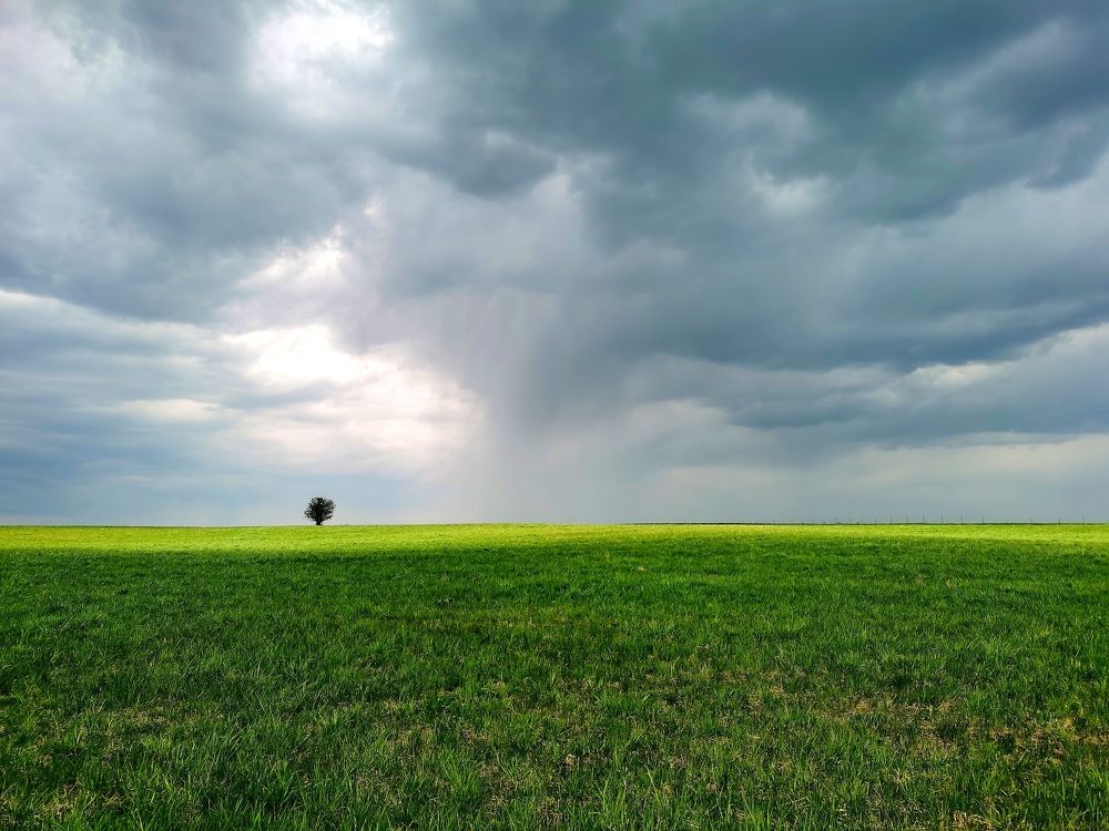 Photograph by Ульяна Рожнова