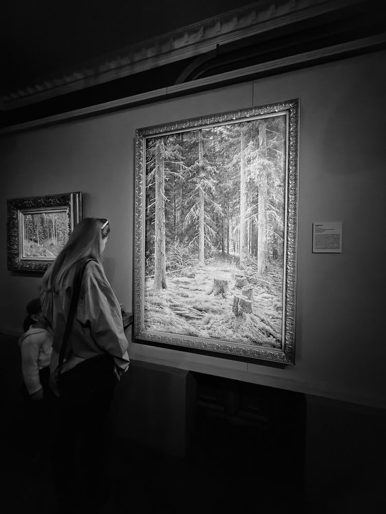 Фотография автора Вероника Жуковец