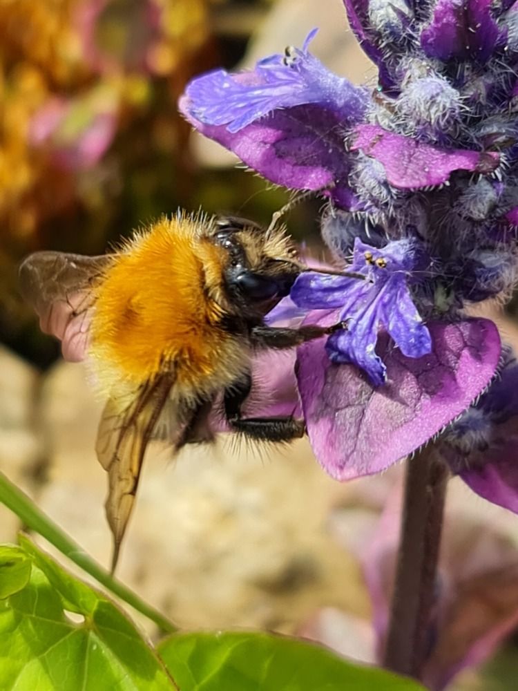 Photograph by Наталья Иванова