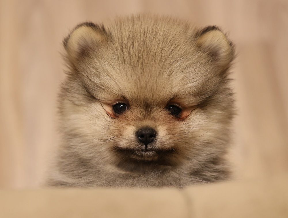 Photograph by Евгений Мел