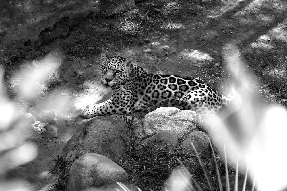 Photograph by Andrés Valencia