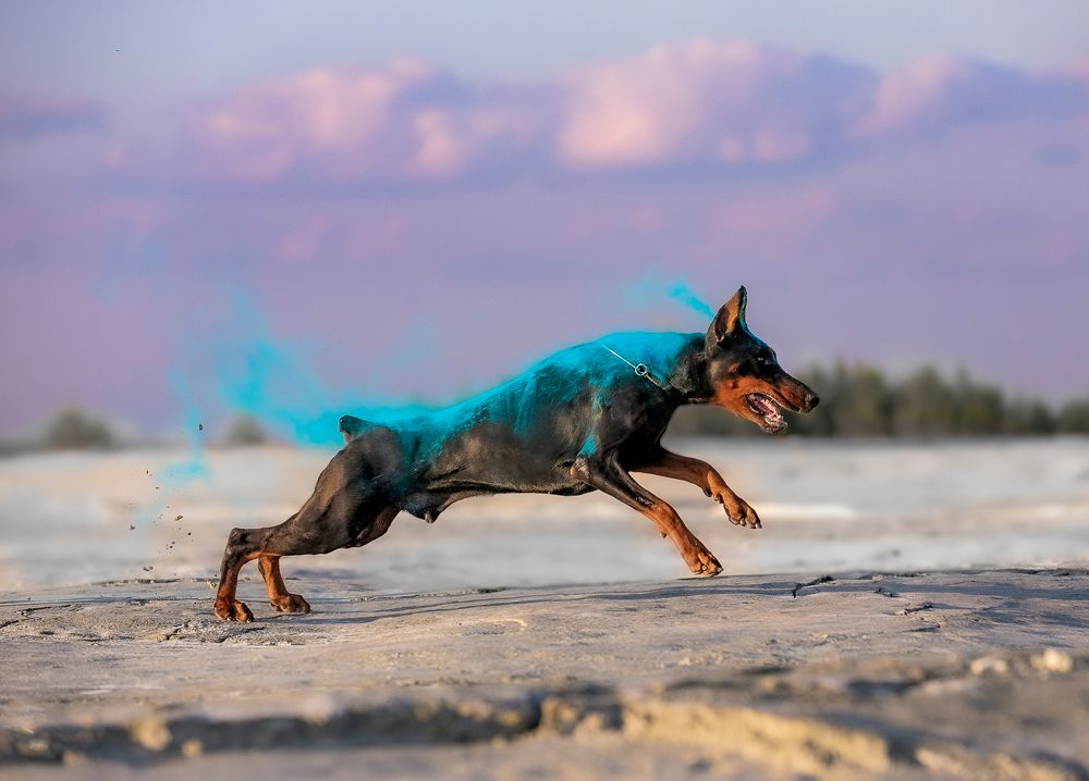 Photograph by Алиса Дружинина