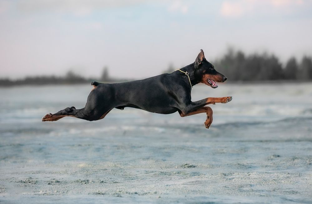 Photograph by Алиса Дружинина