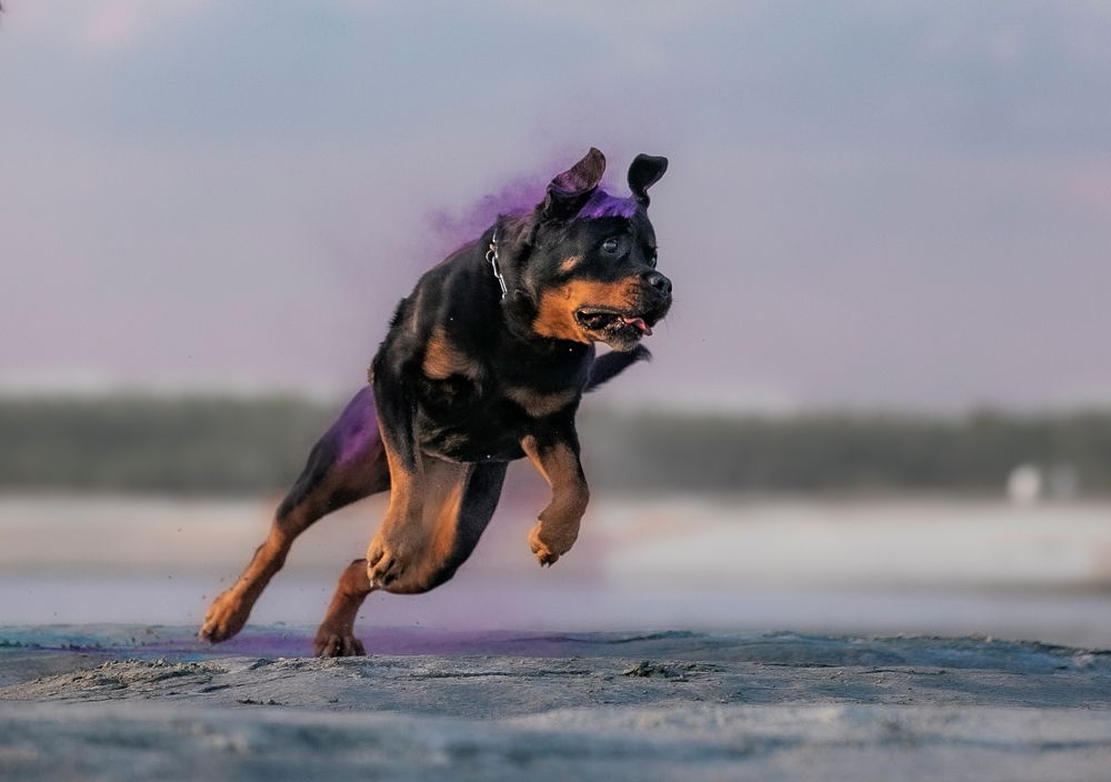 Photograph by Алиса Дружинина