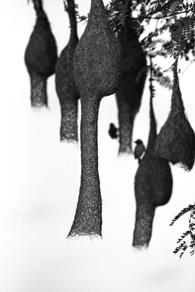 Nature buildings With builders