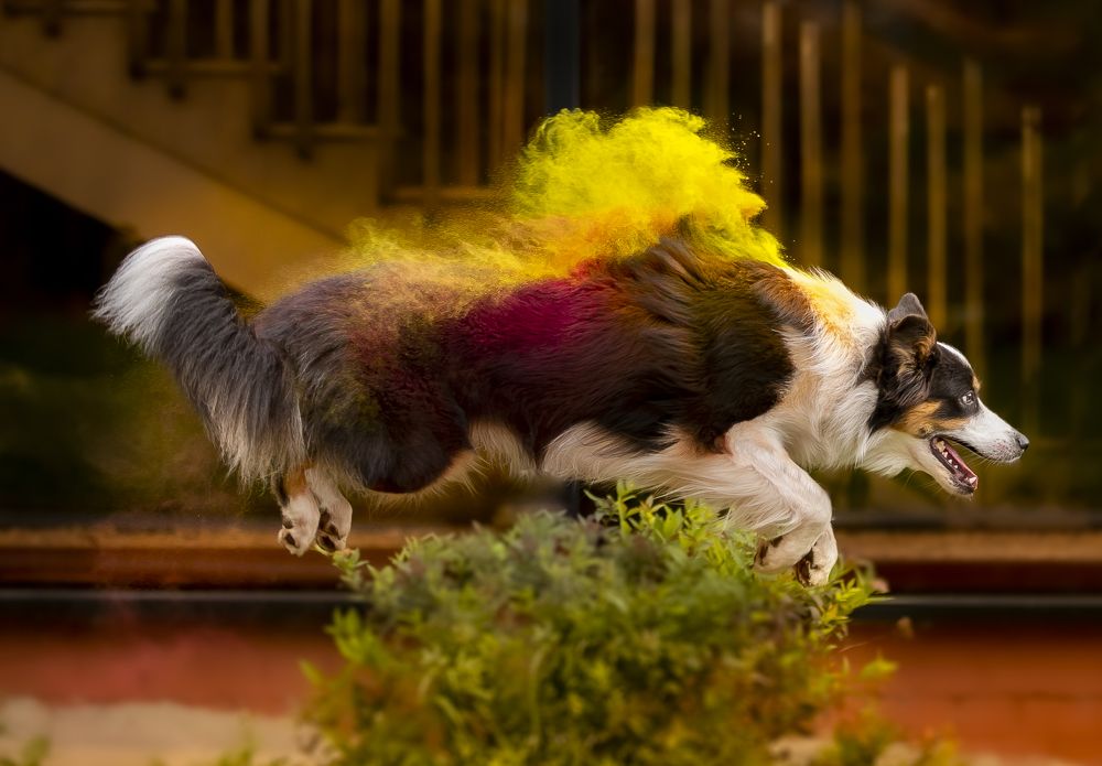 Photograph by Алиса Дружинина