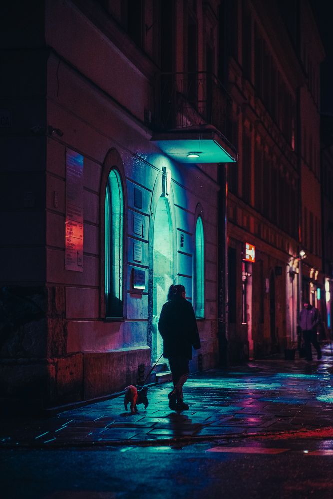 A late night dog walk