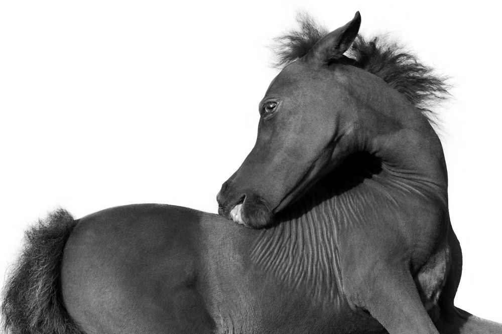 Photograph by Екатерина Михайлова