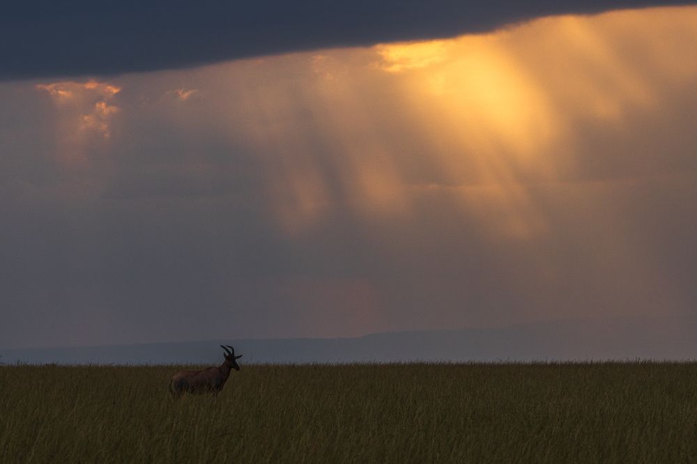 Photograph by Jayakumar MN