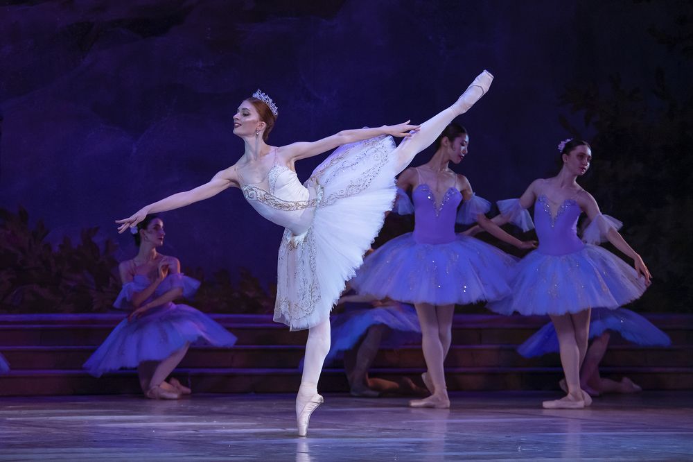 Фотография автора Сафонова Людмила