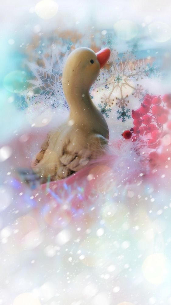 Photograph by Алла Холодова