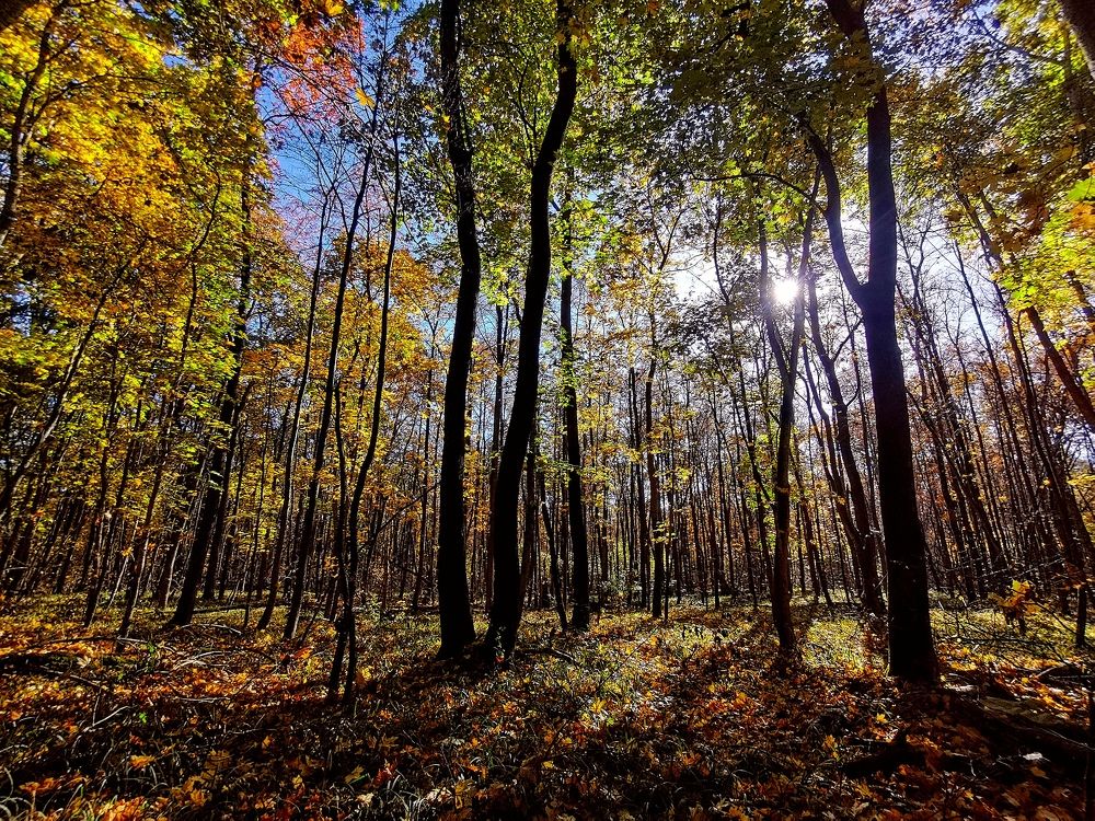 Photograph by Ульяна Рожнова