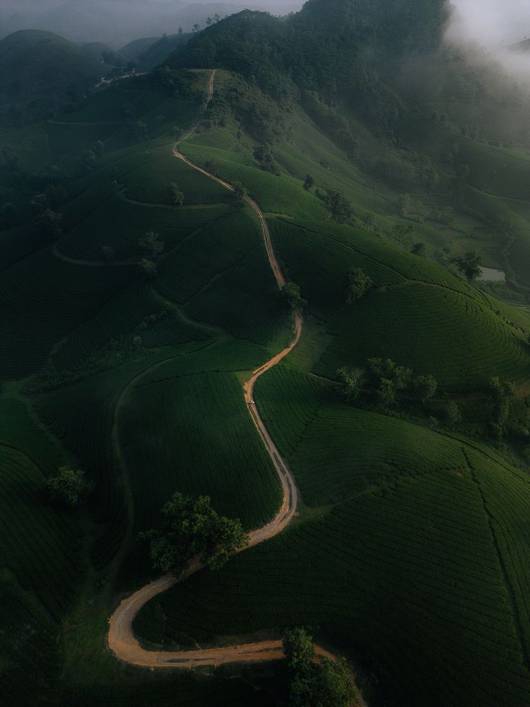 Photograph by Анастасия Сауль