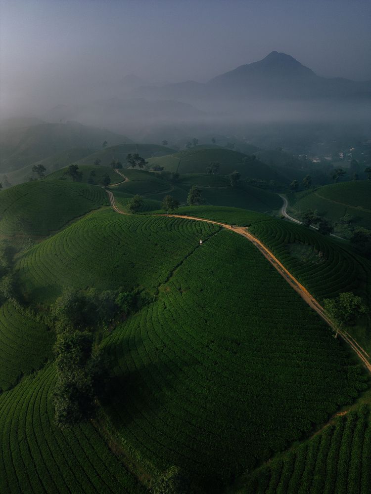 Photograph by Анастасия Сауль