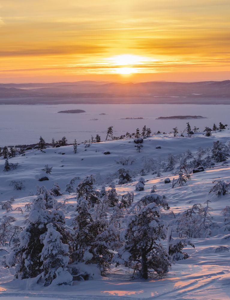 Photograph by Diana Karp