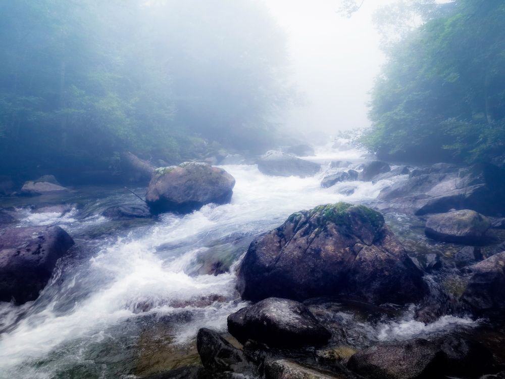 Photograph by Inna Burdikova