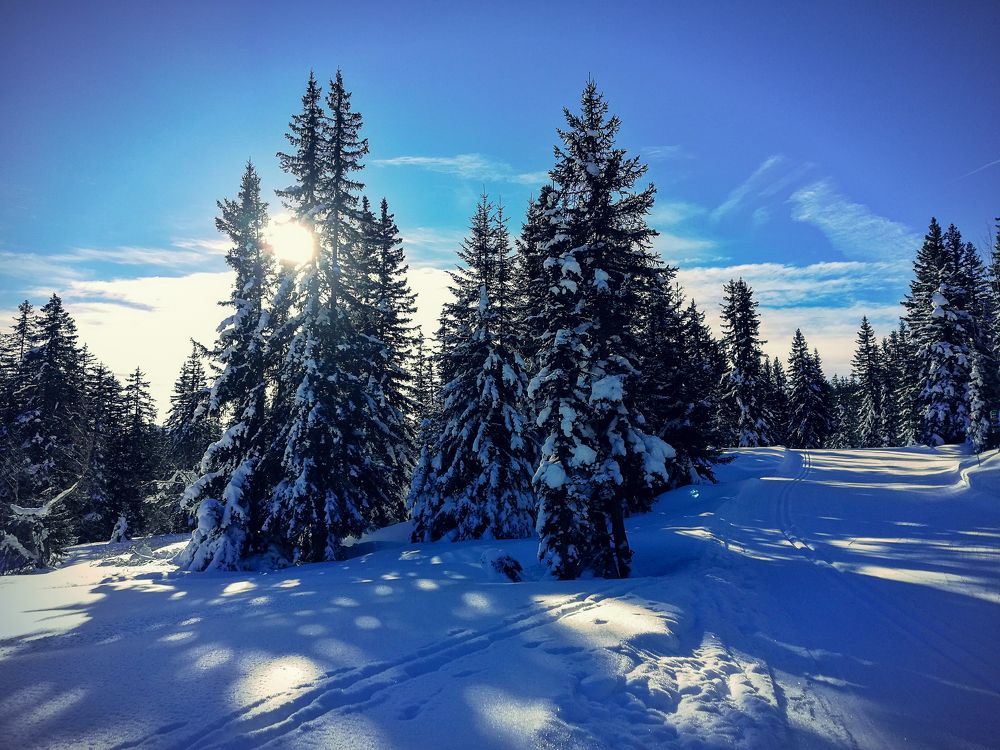 Photograph by Inna Burdikova