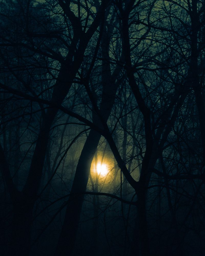 Photograph by Инга Макеева